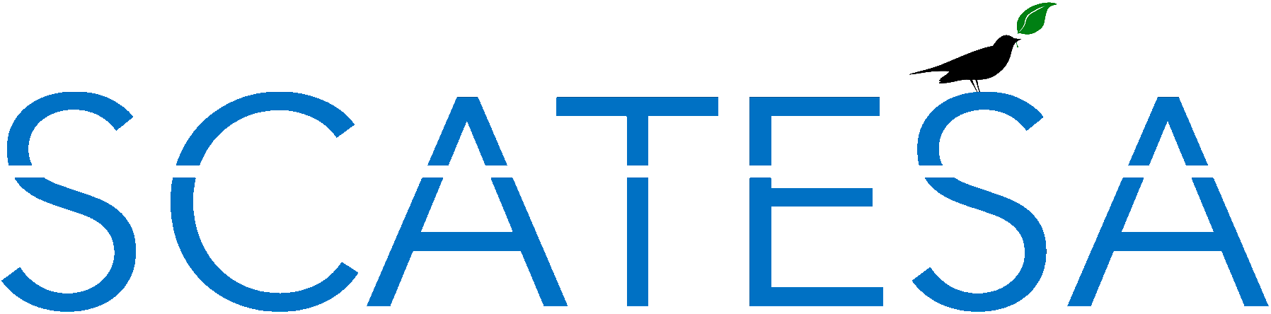 ACME Logo